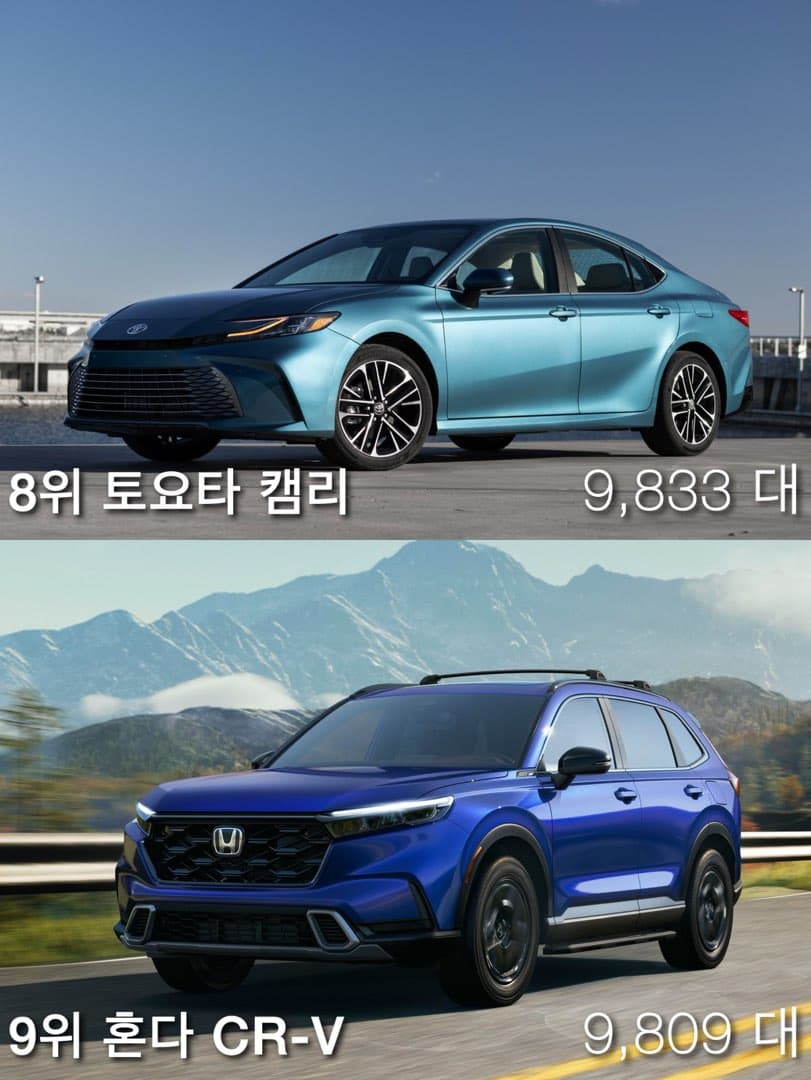 “가장 많이 도난당한 차 1위“ 현대 아반떼 (엘란트라) 등극 이미지 6/9