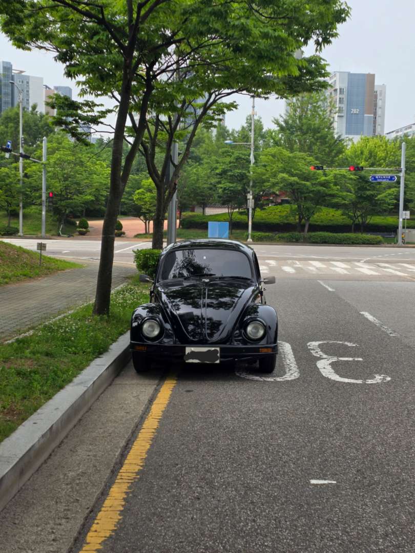 클래식 비틀 ㅎㄷㄷ 이미지 1/2