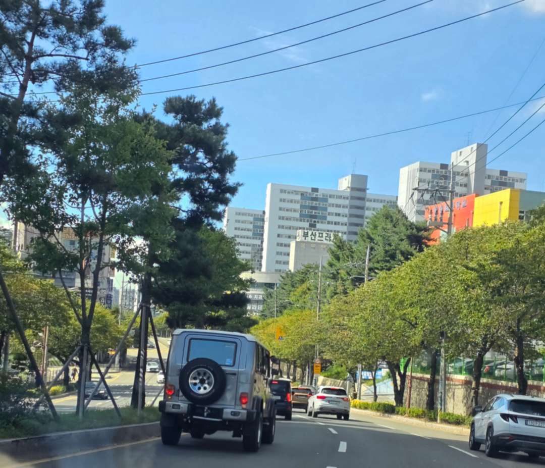 이차는 무엇인가요? 이미지 1/2