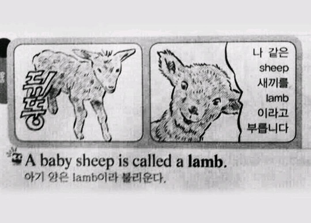 흔한 닉넴 선정 완☆료☆ 이미지 1/2