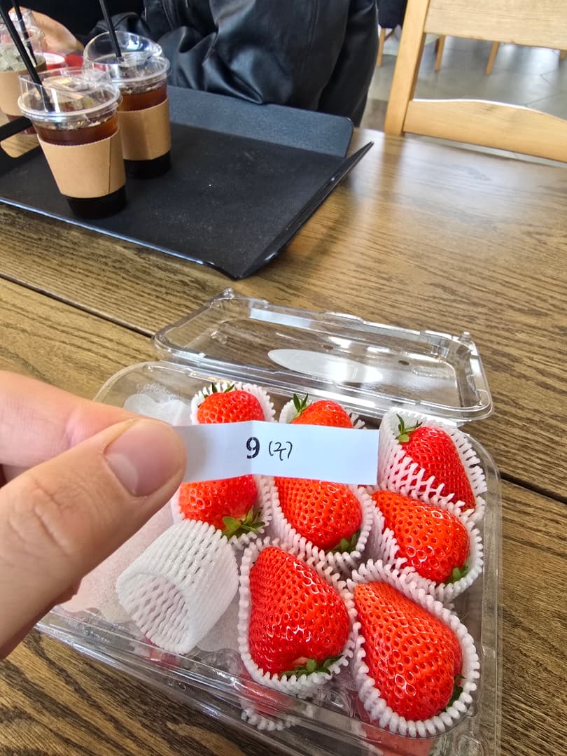 오늘 후기 이미지 2/10