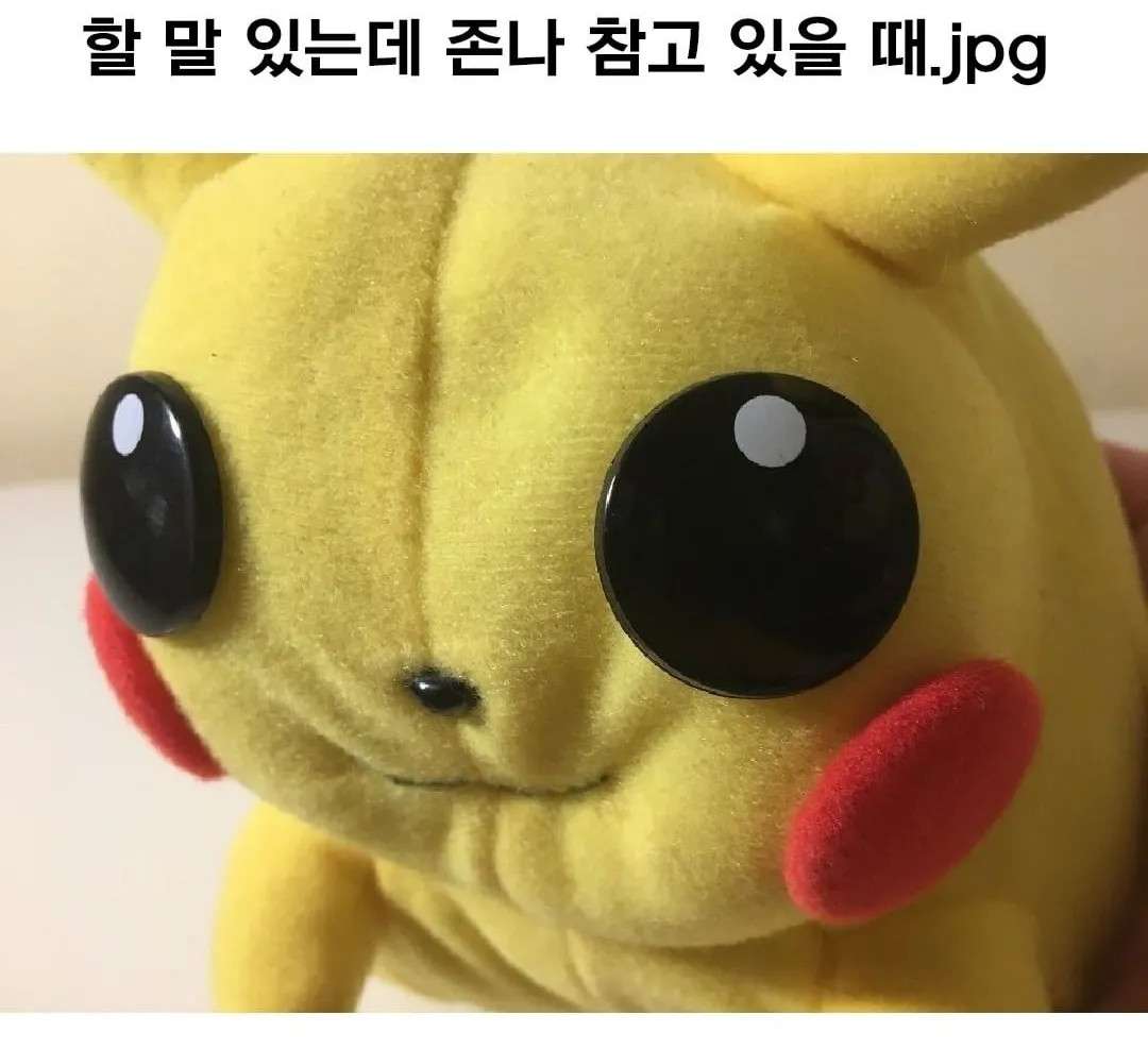 희비교차 이미지 4/4