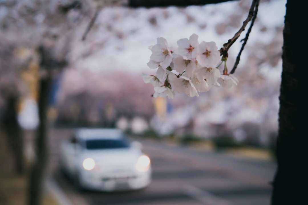 안녕하세요 :) 이미지 2/4
