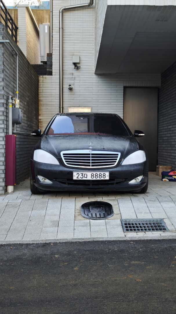 동태 이미지 1/1