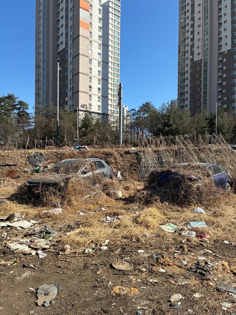 자동차 무덤 이미지 1/4