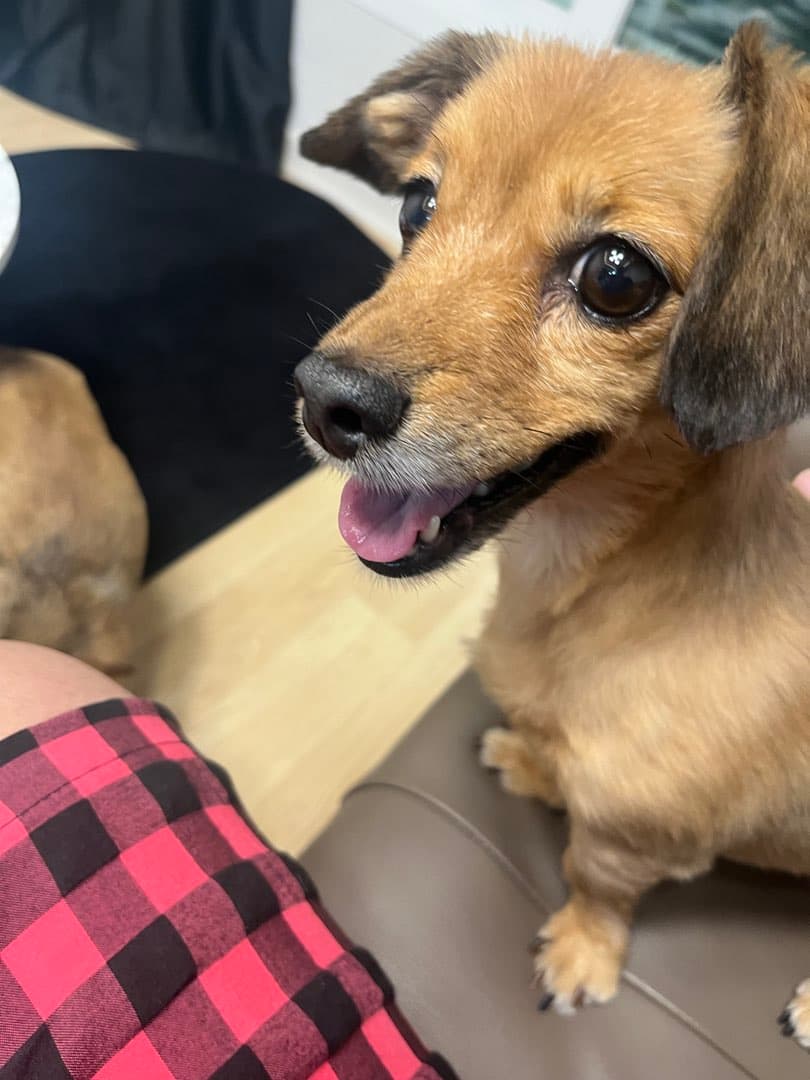 똥 이미지 1/1