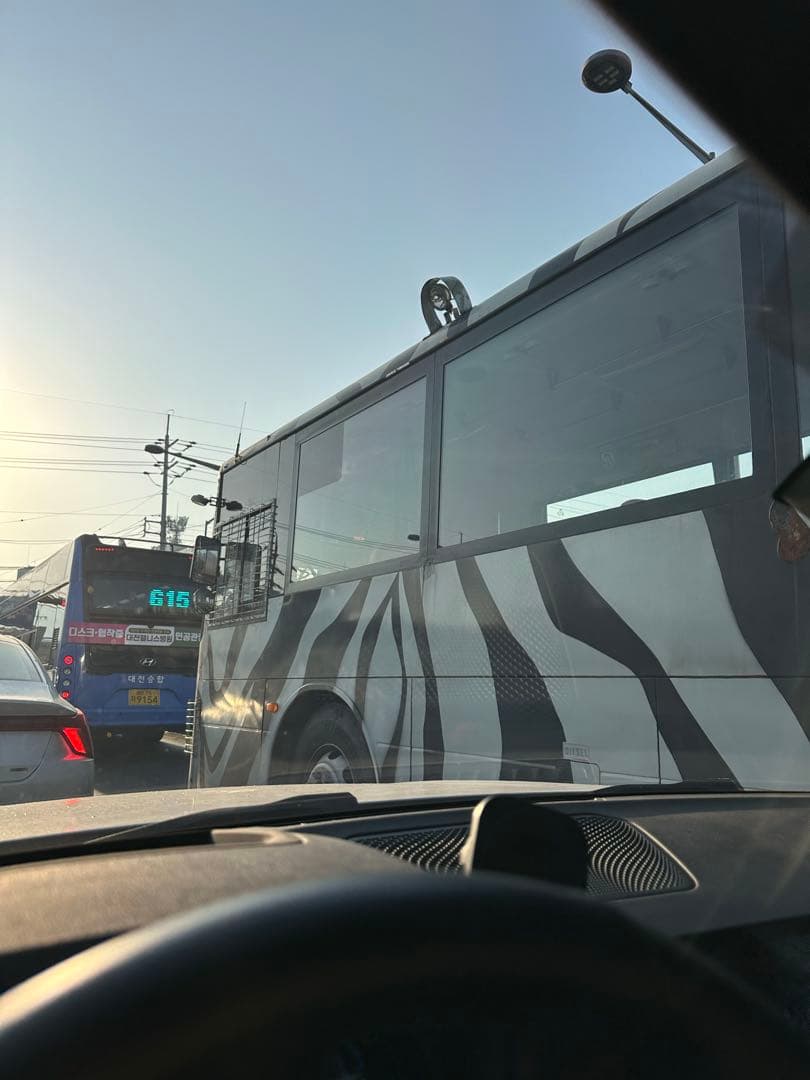 출근길 여기는 사파리입니다? 이미지 2/2