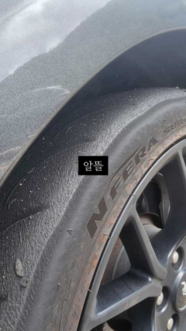머스탱 서킷 이미지 5/10